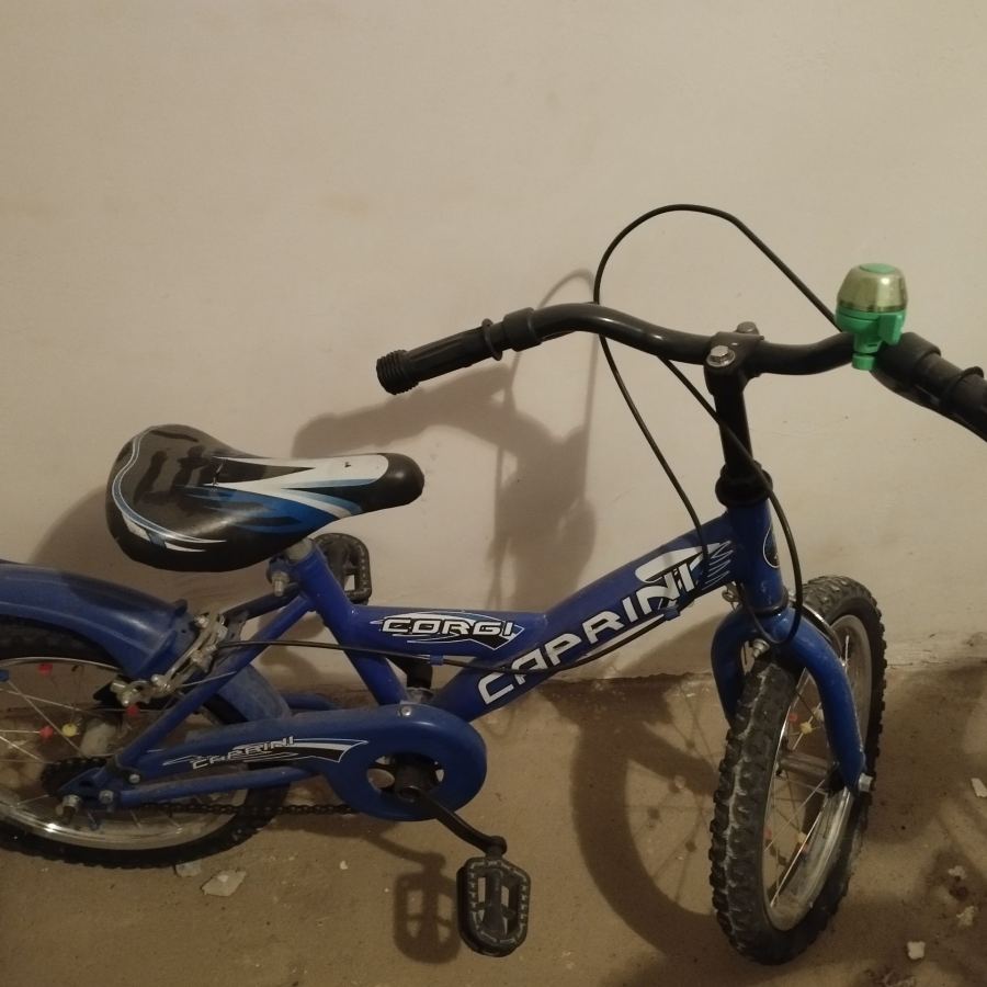 Caprini Mavi Bisiklet 6-10 Yaş İyi Durumda