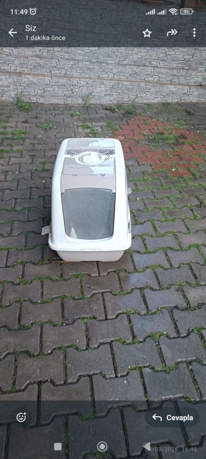Kedi köpek mahzemesi